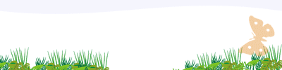 banner animado